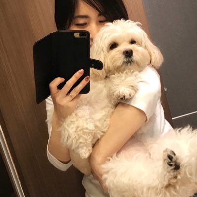 15min_min's profile picture. 【ペキニーズとトイプードルmix：うずら】自分を人間だと思っていて、ツンデレちゃん。本当は甘えたい性格。 【トイプードル：だいず】自分より大きいものにビビる。自分を1番に可愛がってほしい。人の上に寝る。