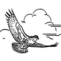 Toronto Ornithological Club (@birdingtoronto) 's Twitter Profile Photo