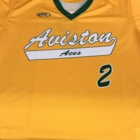 Aviston Aces CCL (@avistonacesccl) 's Twitter Profile