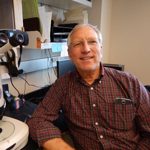 LabSav's profile picture. We are the Virginia Institute of Marine Science (VIMS)-SAV Lab. We monitor and restore underwater grasses in the Chesapeake and Coastal Bays of Virginia.