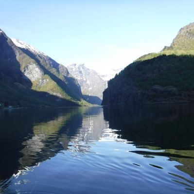 PieNurse's profile picture. Fed up with bureaucracy. Stop fighting on Twitter. It’s bad for your blood pressure