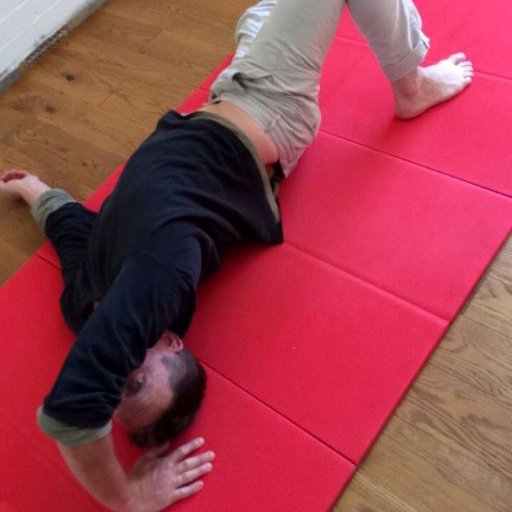 AlexFeldenkrais's profile picture. 