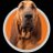 mygrovr's profile image