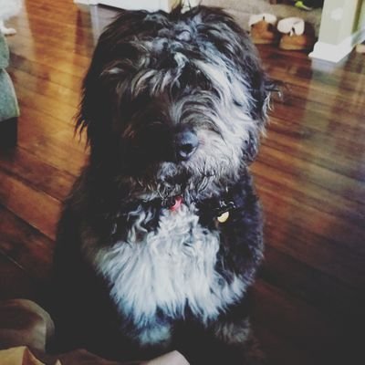 Smetenn's profile picture. 