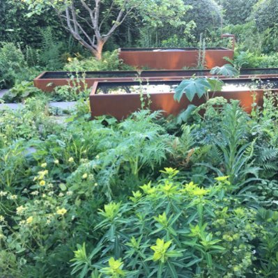 kateburnettt's profile picture. 