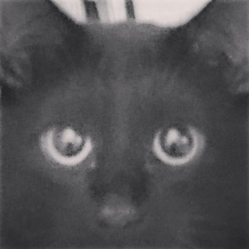 valdis216's profile picture. 