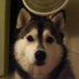Kevin (@kmeiernsicu) Twitter profile photo Kevin (@kmeiernsicu) Twitter profile photo