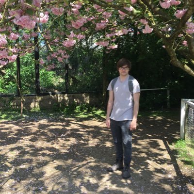 Programmer. I work on HP Secure Browser @hpsecurity | Views are my own.