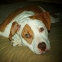 katie keyes - @kmkeyes - Twitter