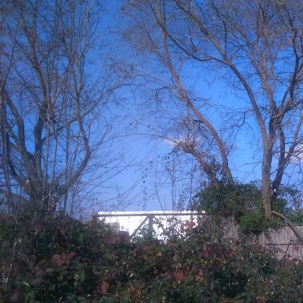 CarlosR51029097's profile picture. painter of Works of art. https://t.co/2olAqGLNDy derecha.