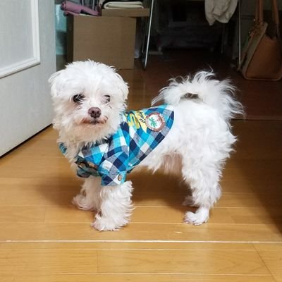 seiji20020922's profile picture. 