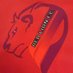 Red lions Fc (@redlionsfc1) Twitter profile photo
