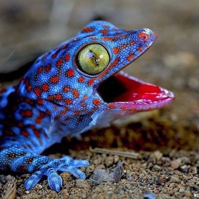 ashcajones's profile picture. whaaaat?