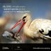 Den Haag #Plasticvrij (@plasticvrij) Twitter profile photo Den Haag #Plasticvrij (@plasticvrij) Twitter profile photo