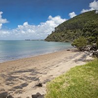 Cornwallis Beach(@Cornwallis_NZ) 's Twitter Profile Photo