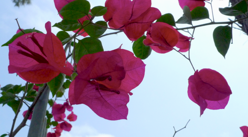 wnyida's profile picture. 