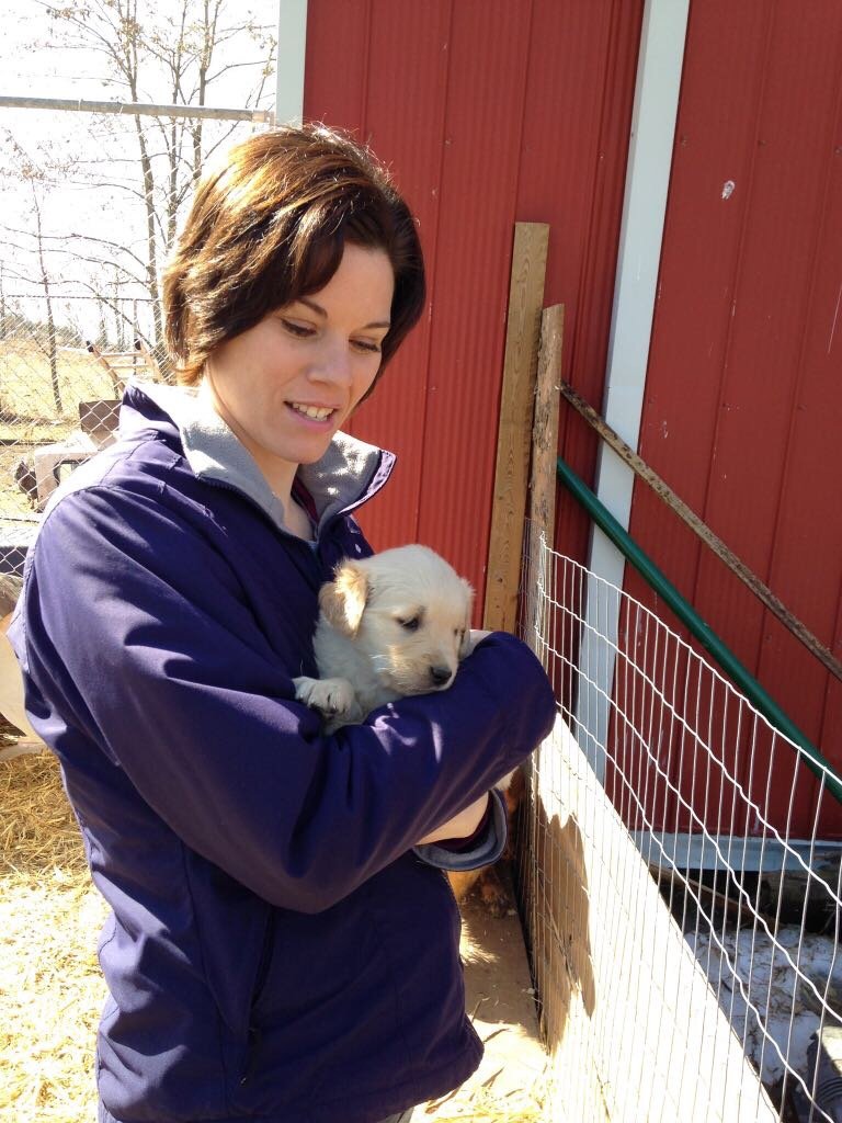 Owner of First Time Dog Mom. ♥️ Golden Retriever mom sharing expert tips on training, health, and dog care.  Discover all things Golden Retrievers! 🐾