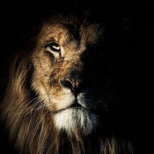 muhammed_saad84's profile picture. by profession information security engineer, hobby read and learn from history and Proud Pakistani. “Go find your self first, so you can also find me ~Rumi~”
