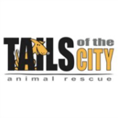 TailsDogRescue's profile picture. Tails of the City is an all-volunteer, 501(c)(3), no-kill rescue serving animals in the greater LA area.