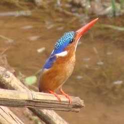 This_Guhy's profile picture. Job 31:29 | Habakkuk 3:17-18