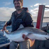 Matt McMillan (@mattmcmillansci) 's Twitter Profile