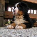 Evan Macmillan - @evanmacmillan - Twitter