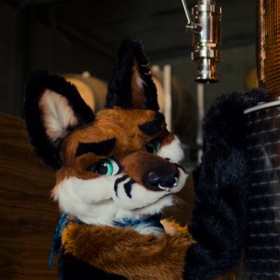 |Pup|Furry|Fox|Husky|Kink|Rubber|Whisky|Gaming|Rock Climber|Archery|Lover: @Indigohond|NSFW18+ at times|AD: @LanceRbrHusky|Suit: @Onefurallstudio