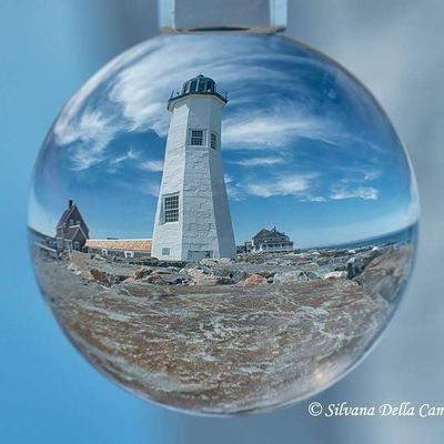 sdella11's profile picture. Champion of all Creatures great and small. Love photography, BlackBerry, IBM i and tech.