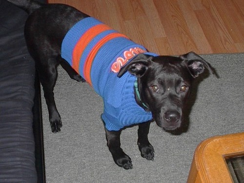 chrisbyradio's profile picture. 