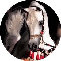 Nawal_ald's profile picture. و أجعل لي يارب من بعد موتي ، أهلاً و أصحاباً و أحبه لا يهجرون وَصلي بالدعاء أبداً يا الله