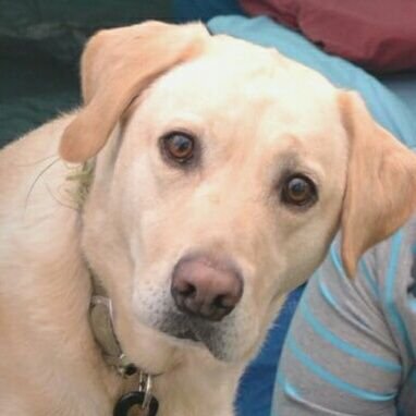 kevsham's profile picture. 