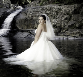 brisweddingpics's profile picture. Brisbane and Redcliffe Portrait Wedding Photographer