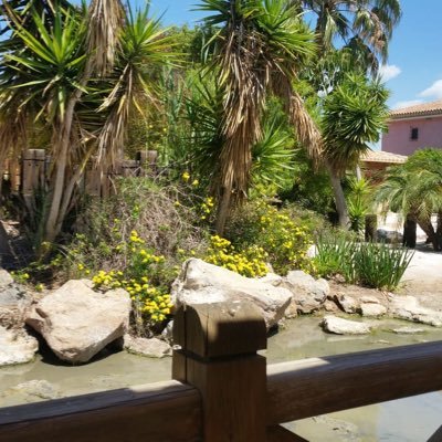 Rosie26316463's profile picture. 