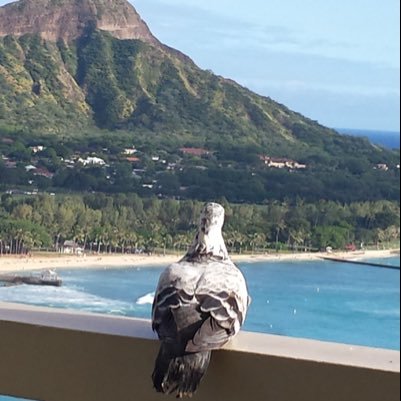 chico0725's profile picture. 