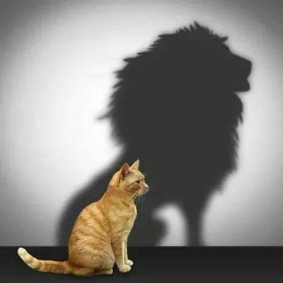 gabriel_malima's profile picture. 