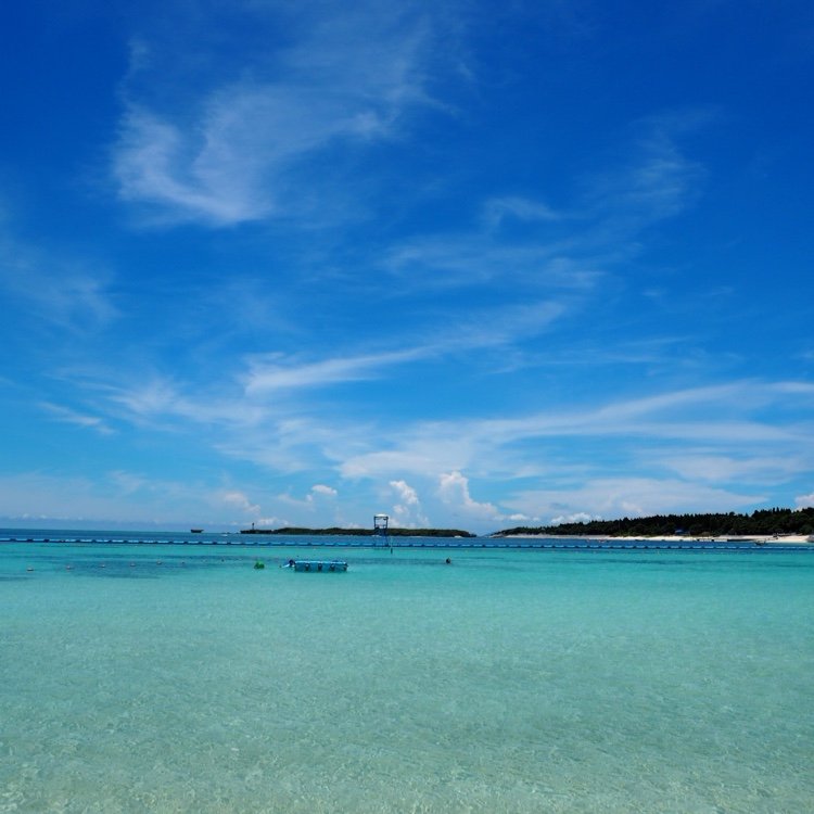 xmhmu_a's profile picture. 