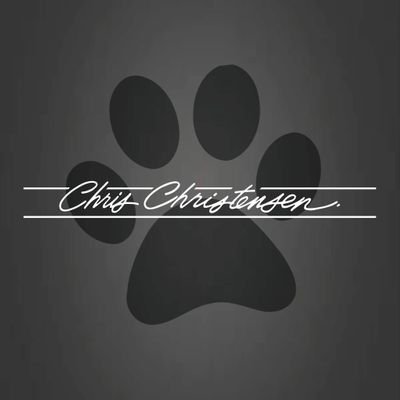 ChrisSystems96 Profile Picture