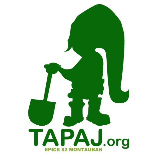 TAPAJ, pour Travail Alternatif Payé à la Journée, est un dispositif  d’insertion spécifique permettant aux jeunes en errance d’être rémunérés  en fin de journée