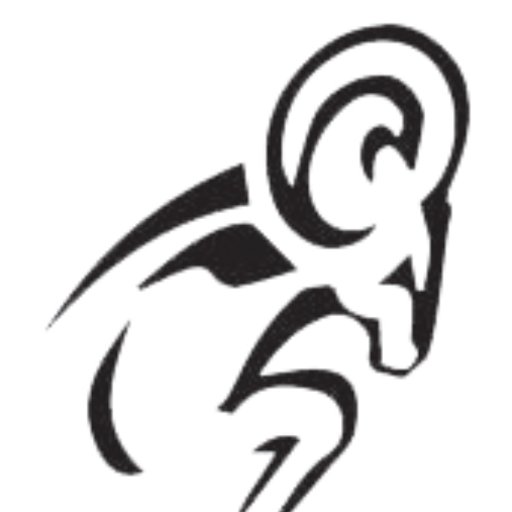 ElsikMightyRamBand
