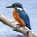 AvonFromePartnership (@avonfrome) Twitter profile photo AvonFromePartnership (@avonfrome) Twitter profile photo