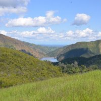 UC Davis Natural Reserves (@ucdavisreserves) 's Twitter Profile