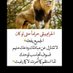 محمد صالح اليافعي (@3uieekl1z0wk1un) Twitter profile photo محمد صالح اليافعي (@3uieekl1z0wk1un) Twitter profile photo