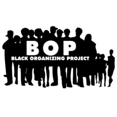 BlackOrgProject Profile Picture