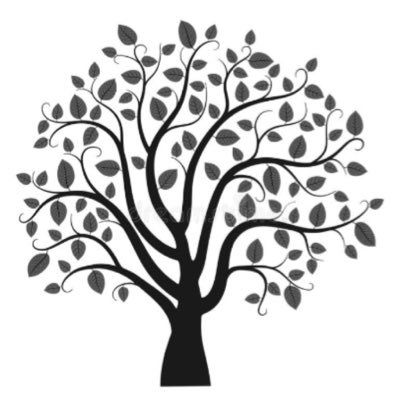 AfnanAlqarni's profile picture. "Dreamy & Realistic"flying high with my dreams 🍃while my feet still touching the ground. MSc in Clinical Biochemistry🧬🧪