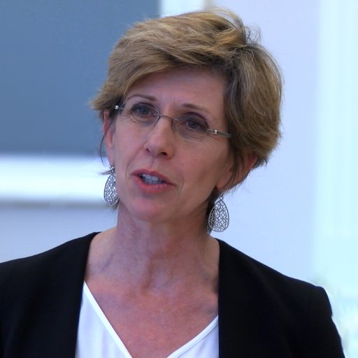 Prof. d'université - Droit du travail, emploi, protection sociale. Expert PRD (Prévention et Règlement des Différends). Médiation.