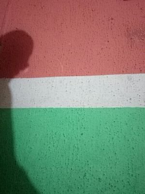 lloverock6552's profile picture. 