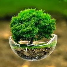 mohammadrafi0's profile picture. jai hind !!