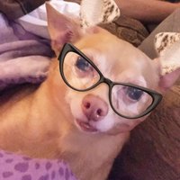 Mary Jo Garrett (@nanagramie) 's Twitter Profile