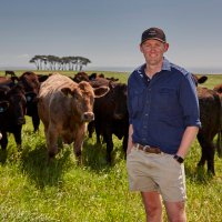 Iain Bruce (@wp_beef) 's Twitter Profile