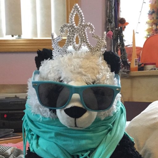 Beware the Bear || BLACK LIVES MATTERさんのプロフィール画像